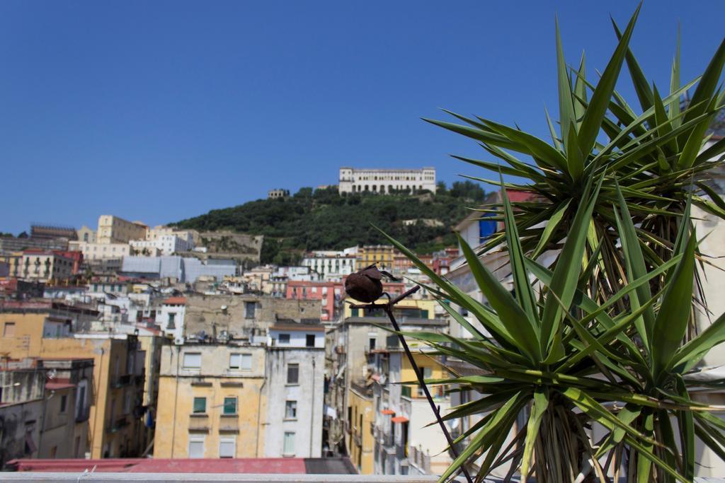 Sui Tetti Di 3* Naples